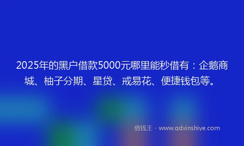 2025年的黑户借款5000元哪里能秒借有：企鹅商城、柚子分期、星贷、戒易花、便捷钱包等。