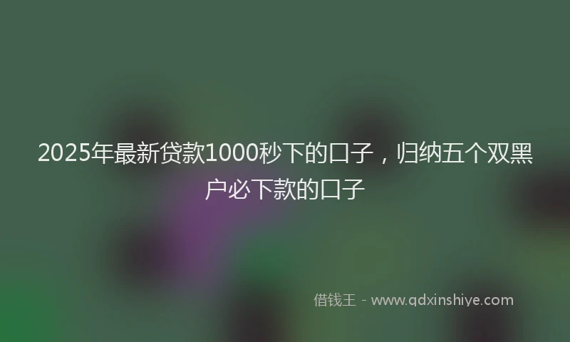 2025年最新贷款1000秒下的口子，归纳五个双黑户必下款的口子