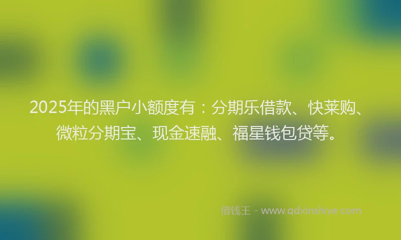 2025年的黑户小额度有：分期乐借款、快莱购、微粒分期宝、现金速融、福星钱包贷等。
