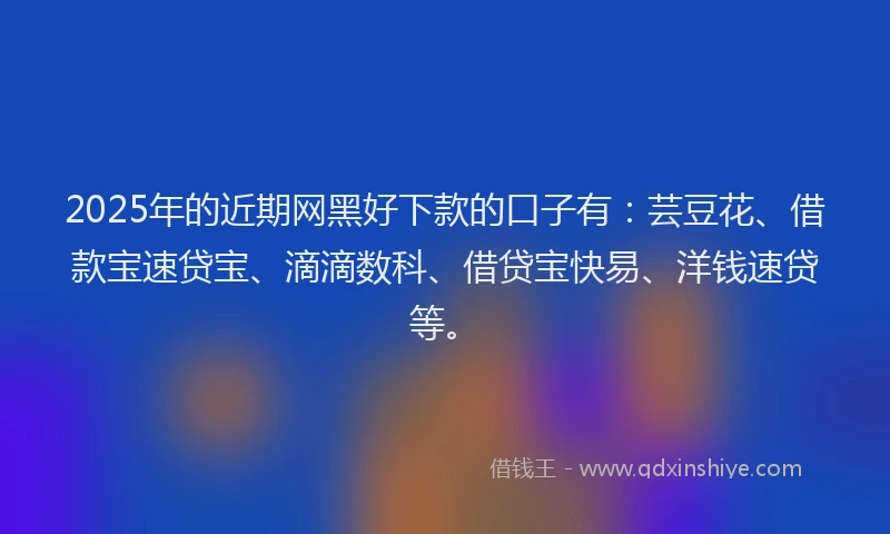 2025年的近期网黑好下款的口子有：芸豆花、借款宝速贷宝、滴滴数科、借贷宝快易、洋钱速贷等。