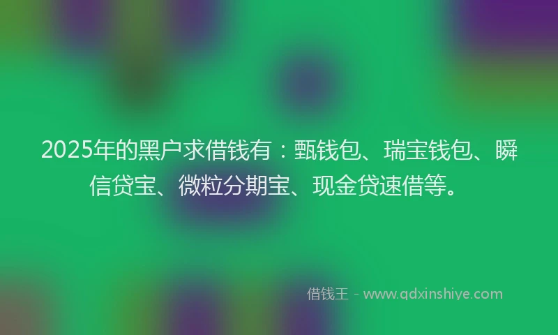 2025年的黑户求借钱有：甄钱包、瑞宝钱包、瞬信贷宝、微粒分期宝、现金贷速借等。