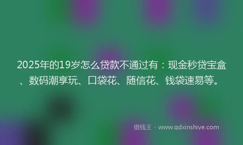 2025年的19岁怎么贷款不通过有：现金秒贷宝盒、数码潮享玩、口袋花、随信花、钱袋速易等。