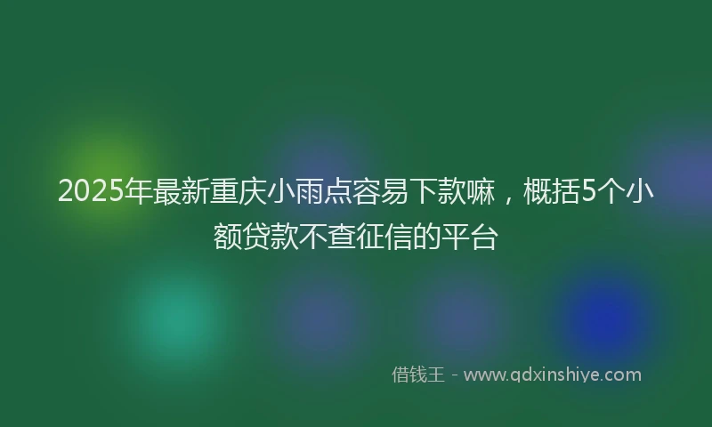 2025年最新重庆小雨点容易下款嘛，概括5个小额贷款不查征信的平台
