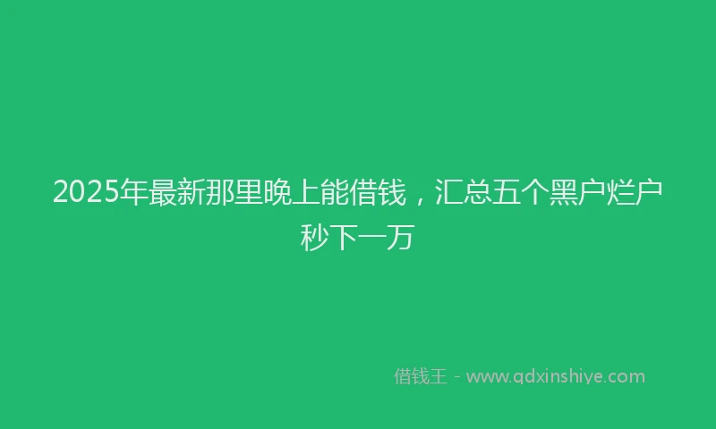 2025年最新那里晚上能借钱，汇总五个黑户烂户秒下一万