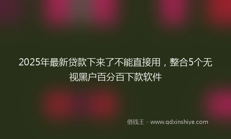 2025年最新贷款下来了不能直接用，整合5个无视黑户百分百下款软件