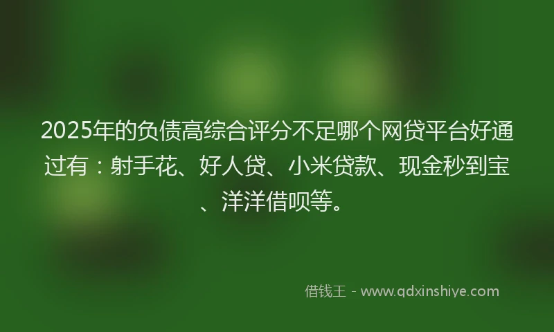 2025年的负债高综合评分不足哪个网贷平台好通过有：射手花、好人贷、小米贷款、现金秒到宝、洋洋借呗等。