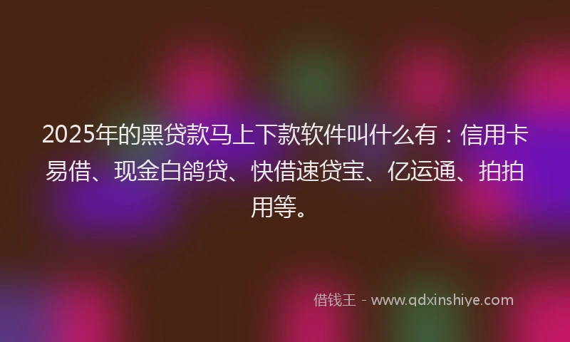 2025年的黑贷款马上下款软件叫什么有：信用卡易借、现金白鸽贷、快借速贷宝、亿运通、拍拍用等。