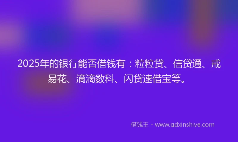 2025年的银行能否借钱有：粒粒贷、信贷通、戒易花、滴滴数科、闪贷速借宝等。
