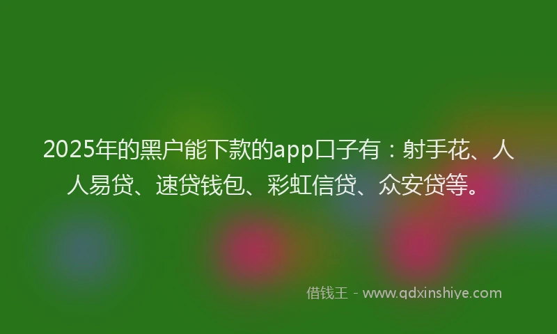 2025年的黑户能下款的app口子有：射手花、人人易贷、速贷钱包、彩虹信贷、众安贷等。