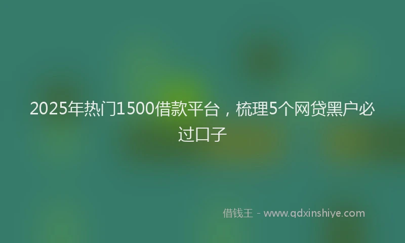 2025年热门1500借款平台，梳理5个网贷黑户必过口子