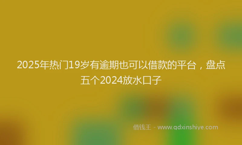 2025年热门19岁有逾期也可以借款的平台，盘点五个2024放水口子