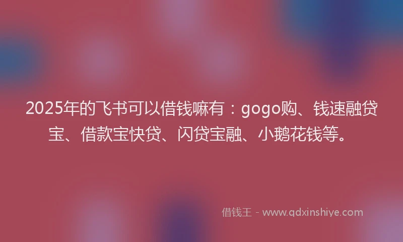 2025年的飞书可以借钱嘛有：gogo购、钱速融贷宝、借款宝快贷、闪贷宝融、小鹅花钱等。