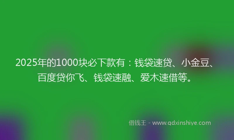 2025年的1000块必下款有：钱袋速贷、小金豆、百度贷你飞、钱袋速融、爱木速借等。