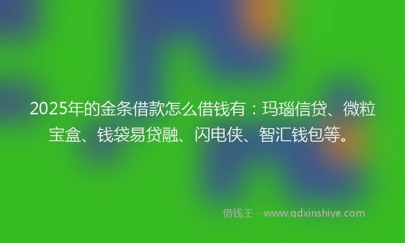 2025年的金条借款怎么借钱有：玛瑙信贷、微粒宝盒、钱袋易贷融、闪电侠、智汇钱包等。