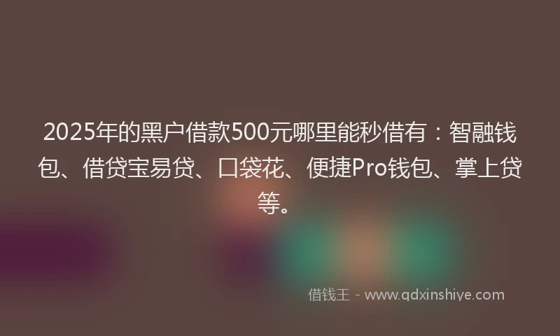 2025年的黑户借款500元哪里能秒借有：智融钱包、借贷宝易贷、口袋花、便捷Pro钱包、掌上贷等。