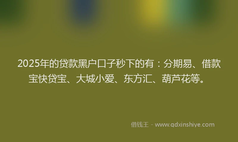2025年的贷款黑户口子秒下的有：分期易、借款宝快贷宝、大城小爱、东方汇、葫芦花等。