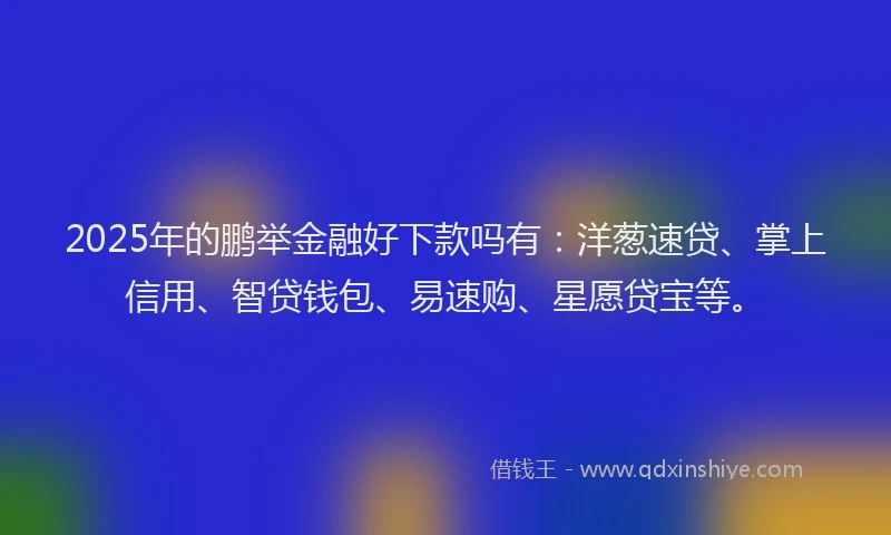 2025年的鹏举金融好下款吗有：洋葱速贷、掌上信用、智贷钱包、易速购、星愿贷宝等。