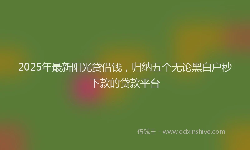 2025年最新阳光贷借钱，归纳五个无论黑白户秒下款的贷款平台