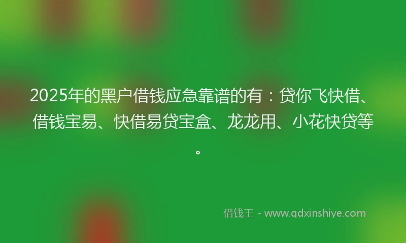 2025年的黑户借钱应急靠谱的有：贷你飞快借、借钱宝易、快借易贷宝盒、龙龙用、小花快贷等。