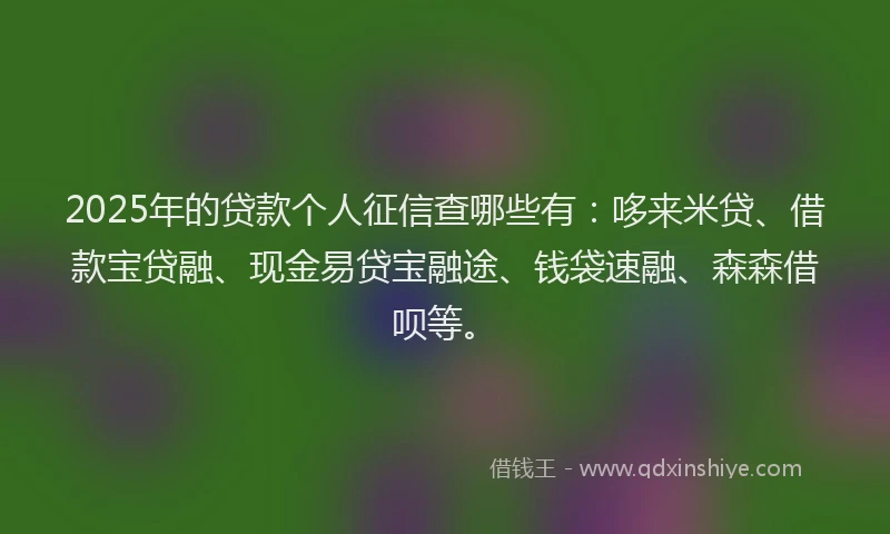 2025年的贷款个人征信查哪些有：哆来米贷、借款宝贷融、现金易贷宝融途、钱袋速融、森森借呗等。