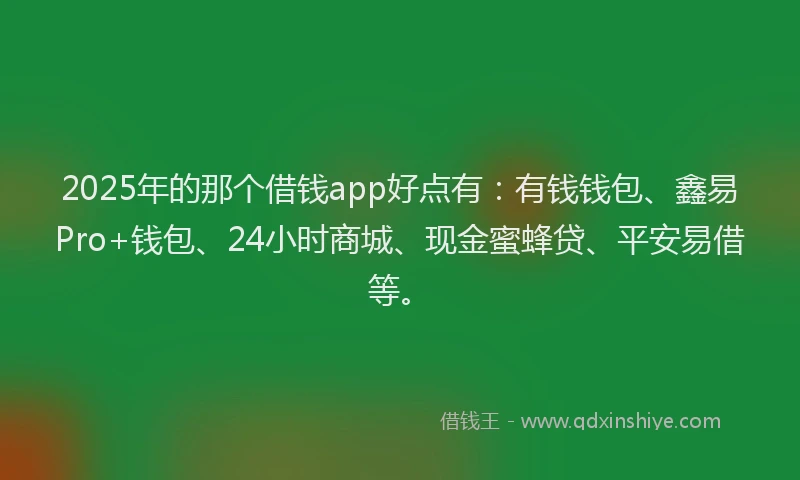2025年的那个借钱app好点有：有钱钱包、鑫易Pro+钱包、24小时商城、现金蜜蜂贷、平安易借等。