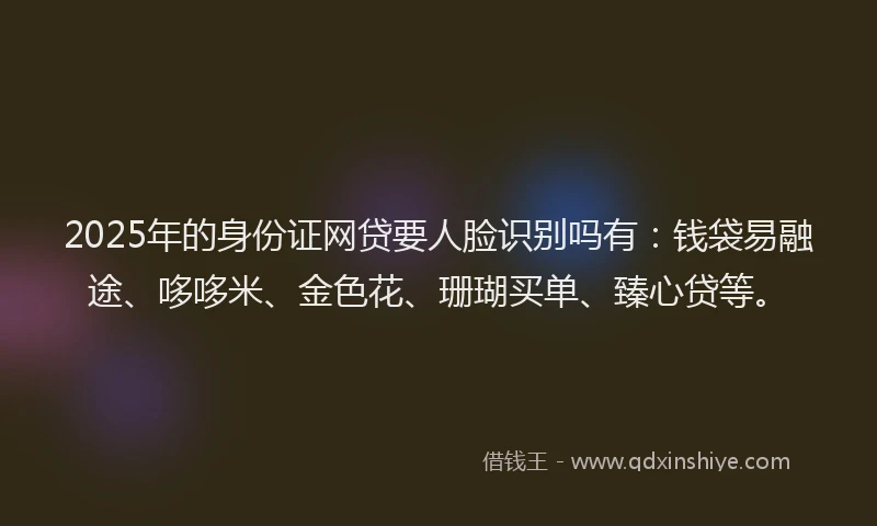 2025年的身份证网贷要人脸识别吗有：钱袋易融途、哆哆米、金色花、珊瑚买单、臻心贷等。