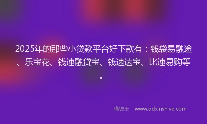 2025年的那些小贷款平台好下款有：钱袋易融途、乐宝花、钱速融贷宝、钱速达宝、比速易购等。