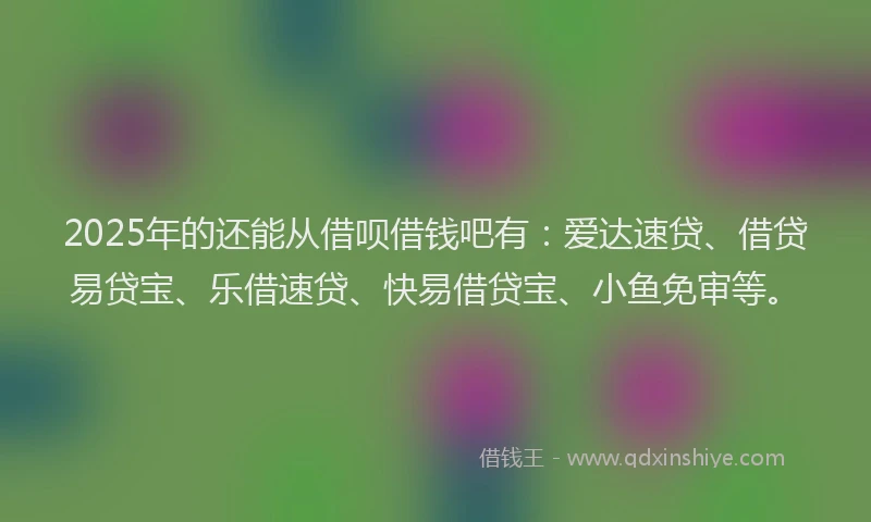 2025年的还能从借呗借钱吧有：爱达速贷、借贷易贷宝、乐借速贷、快易借贷宝、小鱼免审等。