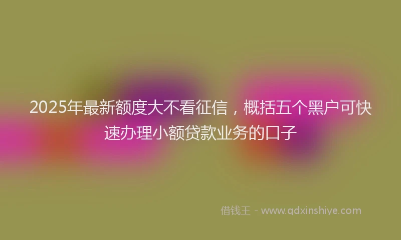 2025年最新额度大不看征信，概括五个黑户可快速办理小额贷款业务的口子