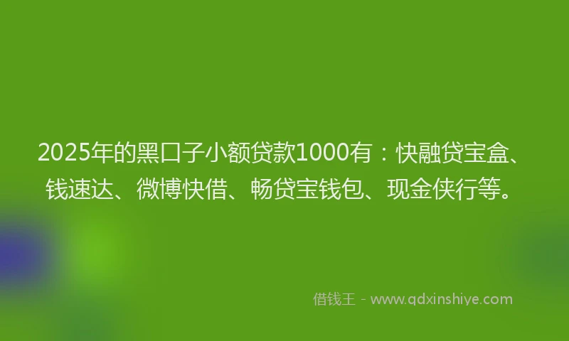 2025年的黑口子小额贷款1000有：快融贷宝盒、钱速达、微博快借、畅贷宝钱包、现金侠行等。