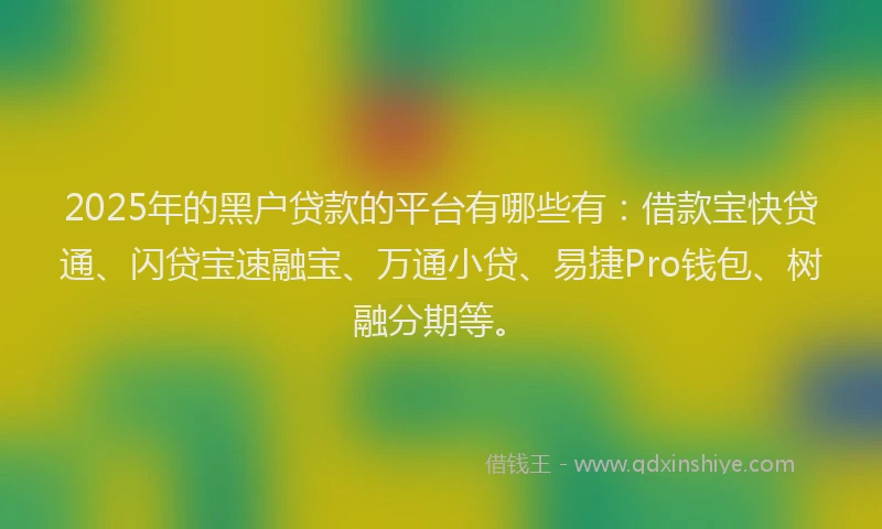2025年的黑户贷款的平台有哪些有：借款宝快贷通、闪贷宝速融宝、万通小贷、易捷Pro钱包、树融分期等。
