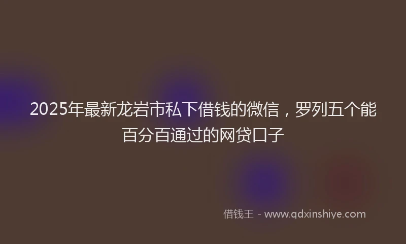 2025年最新龙岩市私下借钱的微信，罗列五个能百分百通过的网贷口子