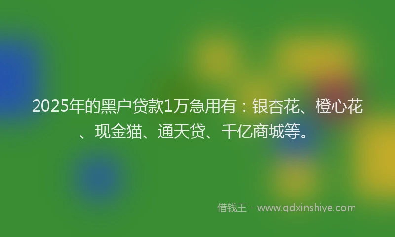 2025年的黑户贷款1万急用有：银杏花、橙心花、现金猫、通天贷、千亿商城等。