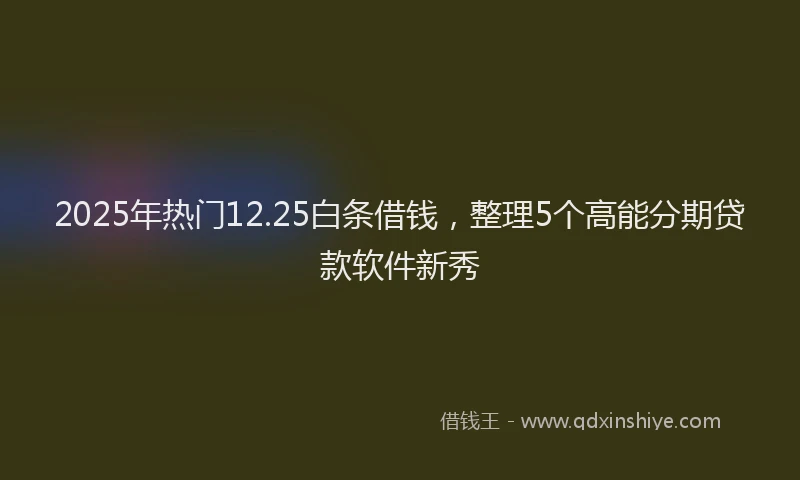 2025年热门12.25白条借钱，整理5个高能分期贷款软件新秀