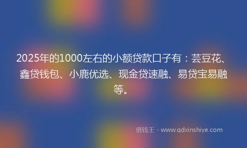 2025年的1000左右的小额贷款口子有：芸豆花、鑫贷钱包、小鹿优选、现金贷速融、易贷宝易融等。