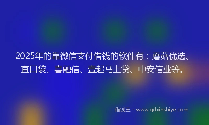 2025年的靠微信支付借钱的软件有：蘑菇优选、宜口袋、喜融信、壹起马上贷、中安信业等。