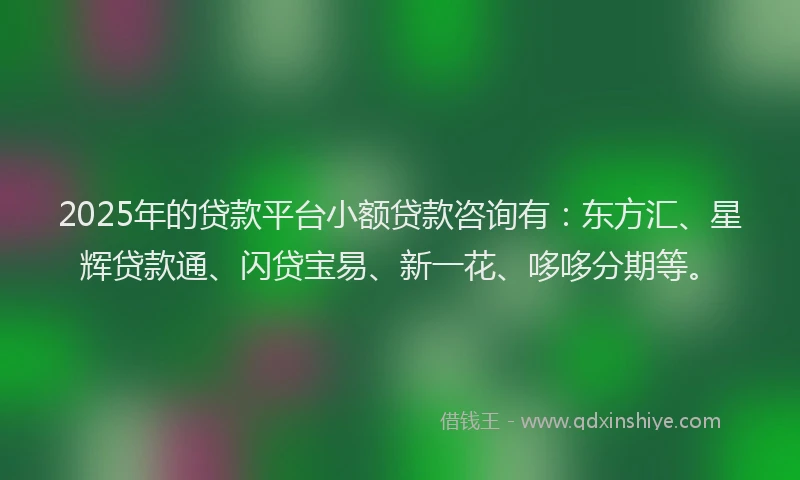 2025年的贷款平台小额贷款咨询有：东方汇、星辉贷款通、闪贷宝易、新一花、哆哆分期等。