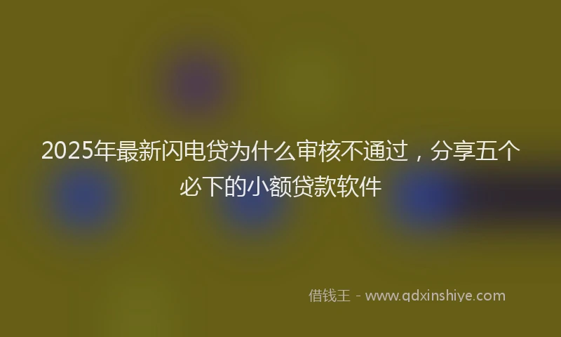 2025年最新闪电贷为什么审核不通过，分享五个必下的小额贷款软件