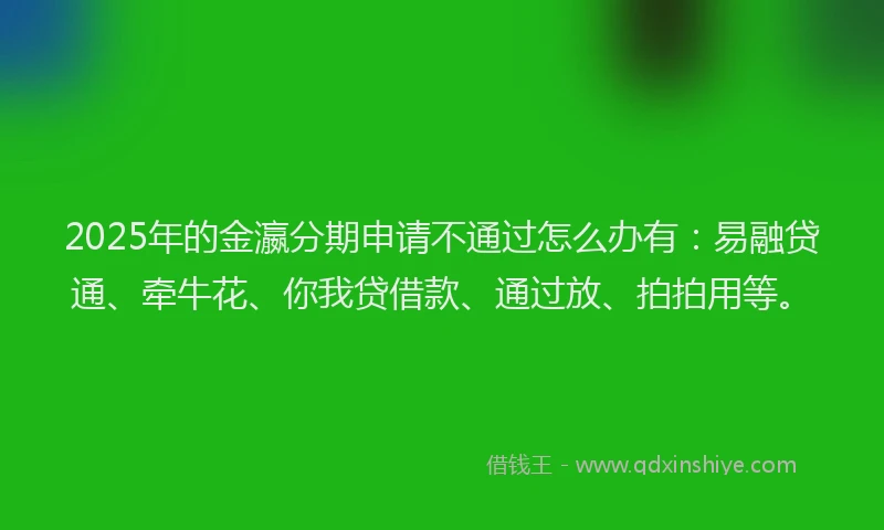 2025年的金瀛分期申请不通过怎么办有：易融贷通、牵牛花、你我贷借款、通过放、拍拍用等。
