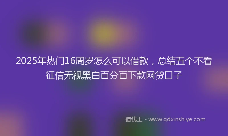 2025年热门16周岁怎么可以借款，总结五个不看征信无视黑白百分百下款网贷口子