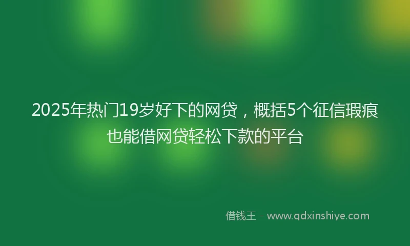 2025年热门19岁好下的网贷，概括5个征信瑕疵也能借网贷轻松下款的平台