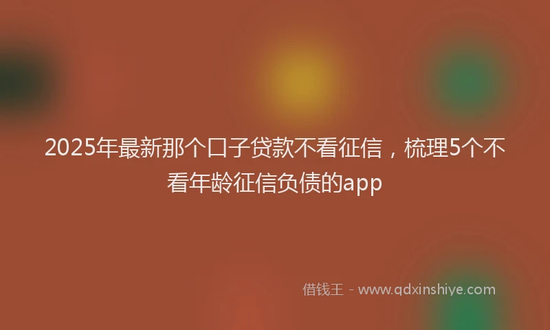 2025年最新那个口子贷款不看征信，梳理5个不看年龄征信负债的app