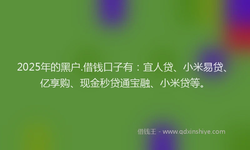 2025年的黑户.借钱口子有：宜人贷、小米易贷、亿享购、现金秒贷通宝融、小米贷等。