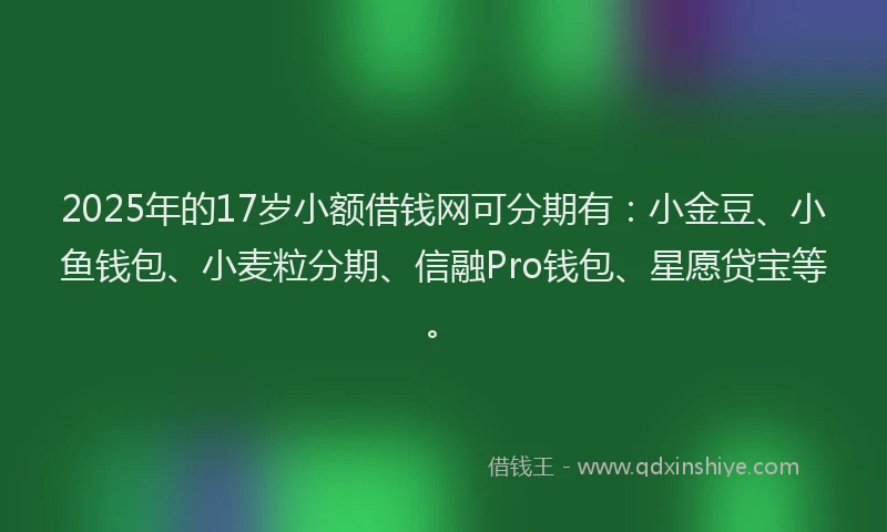 2025年的17岁小额借钱网可分期有：小金豆、小鱼钱包、小麦粒分期、信融Pro钱包、星愿贷宝等。