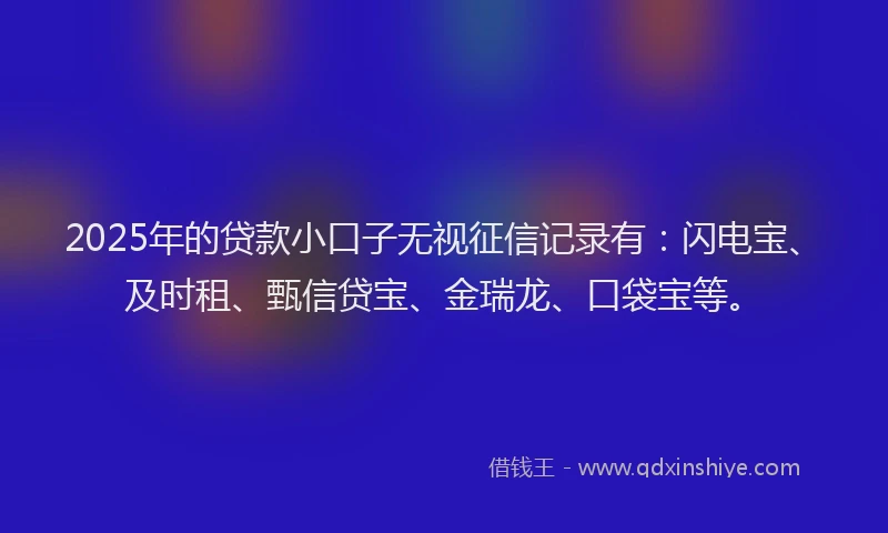 2025年的贷款小口子无视征信记录有：闪电宝、及时租、甄信贷宝、金瑞龙、口袋宝等。