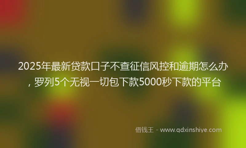 2025年最新贷款口子不查征信风控和逾期怎么办，罗列5个无视一切包下款5000秒下款的平台