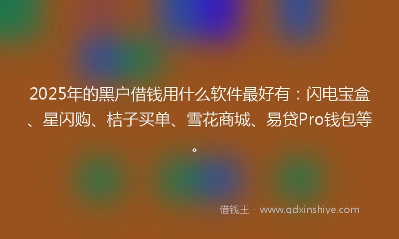 2025年的黑户借钱用什么软件最好有：闪电宝盒、星闪购、桔子买单、雪花商城、易贷Pro钱包等。