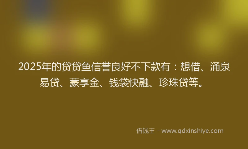 2025年的贷贷鱼信誉良好不下款有：想借、涌泉易贷、蒙享金、钱袋快融、珍珠贷等。