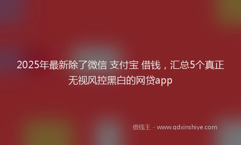 2025年最新除了微信 支付宝 借钱，汇总5个真正无视风控黑白的网贷app
