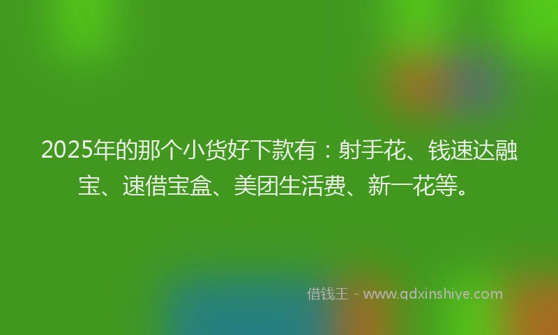 2025年的那个小货好下款有：射手花、钱速达融宝、速借宝盒、美团生活费、新一花等。